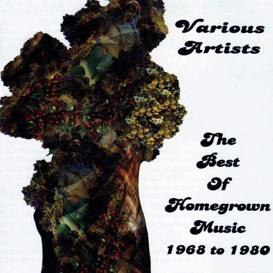 Various Artists - The Best Of Homegrown Music 1968 - 1980 - Rock/Pop - CD