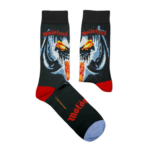 Motorhead - Rock N Roll (Eu 36-40/Uk 4-7/Us 4½-7½) - Music - SOCK