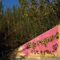 Spraynard - Cut And Paste - Punk - LP