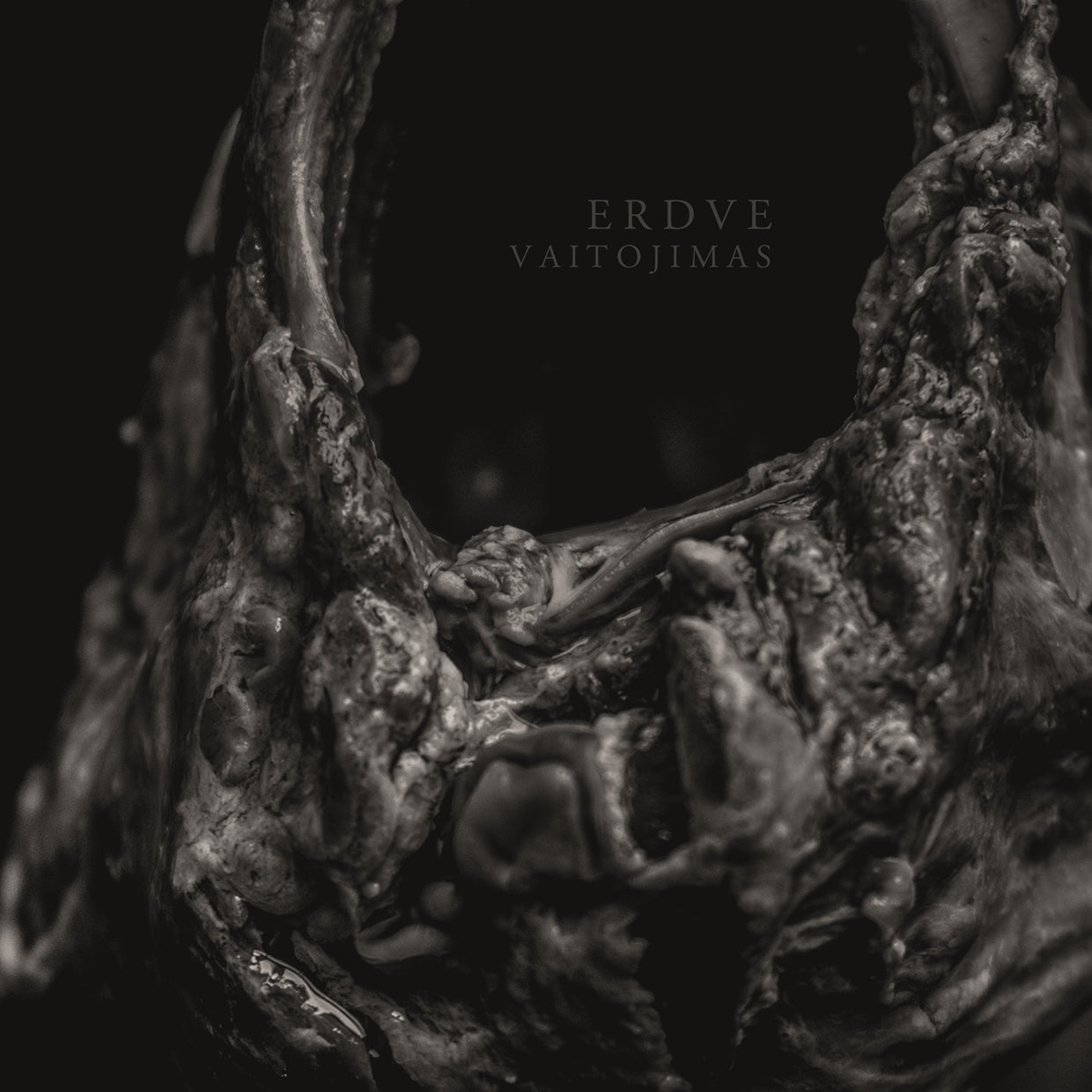 Erdve - Vaitojimas - Metal - CDD