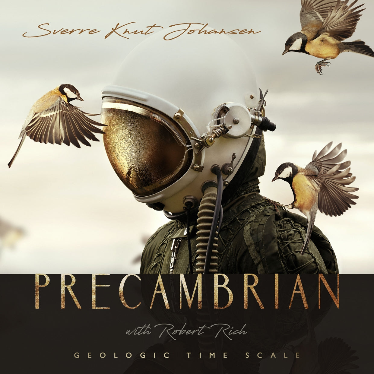 Sverre Knut Johansen - Precambrian - Electronic - CD
