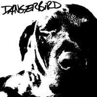 Dangerbird - Johnny - Rock - CD