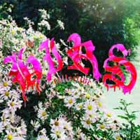 Hirs Collective - Friends. Lovers. Favorites. - Punk - CD