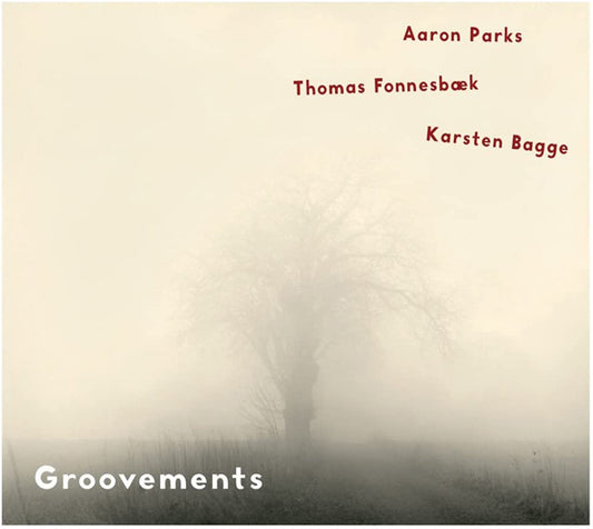 Aaron Parks/Thomas Fonnesbæk/Karsten Bagge - Groovements - Jazz - CD