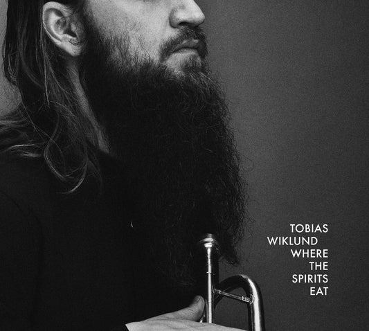 Tobias Wiklund - Where The Spirits Eat - Jazz - LP