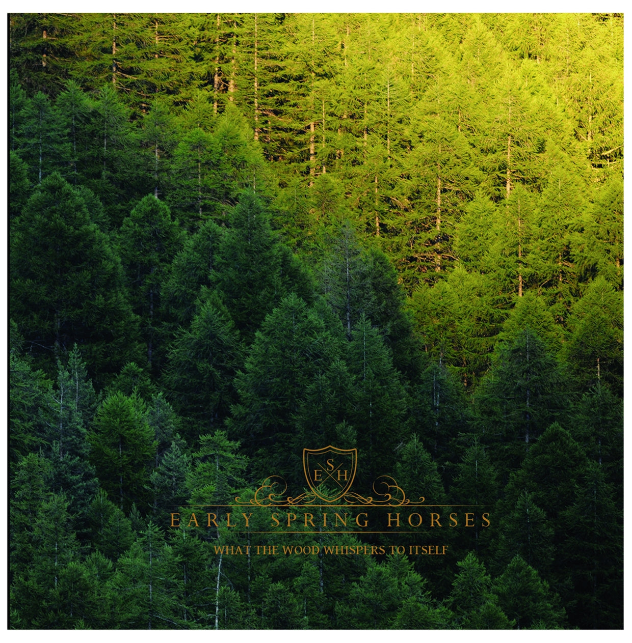 Early Spring Horses - What The Wood Whispers To Itself - Metal - CDD