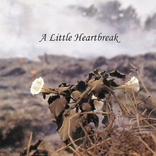 Jan Norris - A Little Heartbreak - Classical - CD