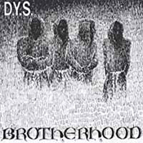 D.Y.S. - Brotherhood - Hardcore - LP