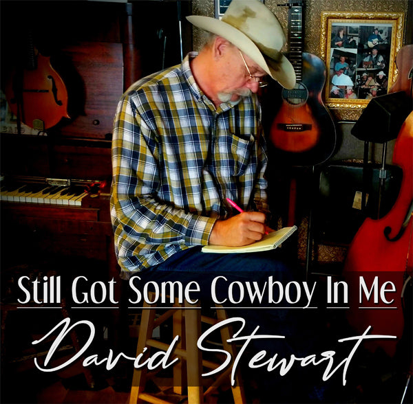David Stewart - Still Got Some Cowboy In Me - Rock/Pop - CD
