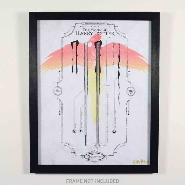 Harry Potter Limited Edition Fan-Cel
