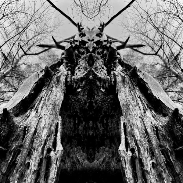 Rulaman - To Serve The Dune - Rock - CDD