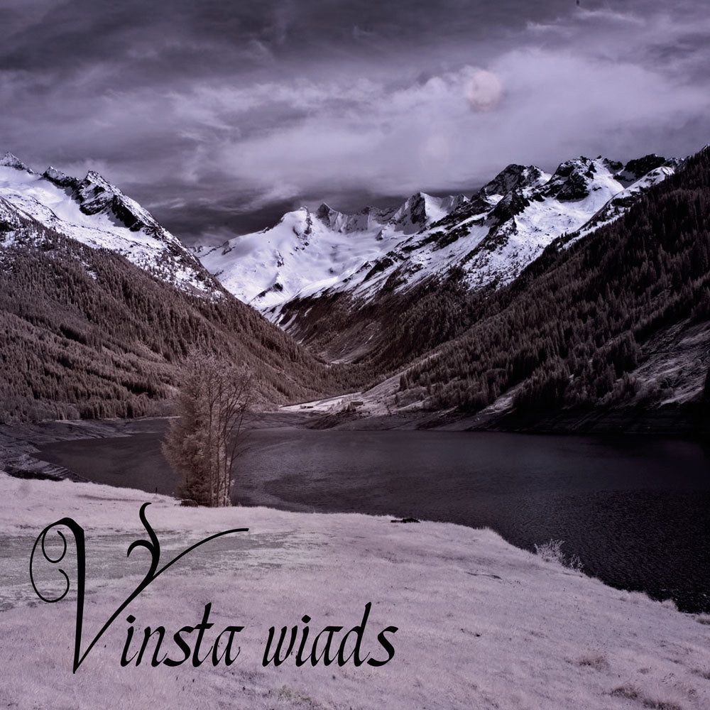 Vinsta - Wiads - Folk/Pagan Metal - CDD
