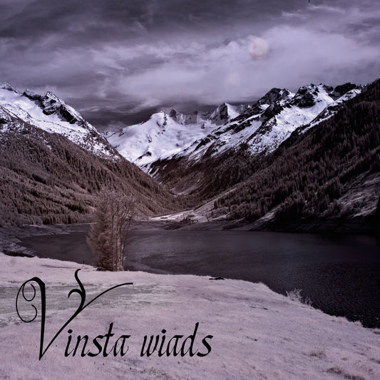 Vinsta - Wiads - Folk/Pagan Metal - CDD