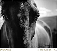 Capercaillie - At The Heart Of It All - Country/Folk - CD
