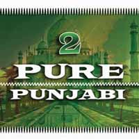 Various Artists - Pure Punjabi 2 - Electronic - CD