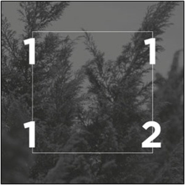 Eleventwelfth - Eleventwelfth - Indie - CD