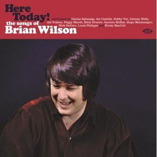Various Artists - Here Today! - The Songs Of Brian Wilson - Rock/Pop - LP