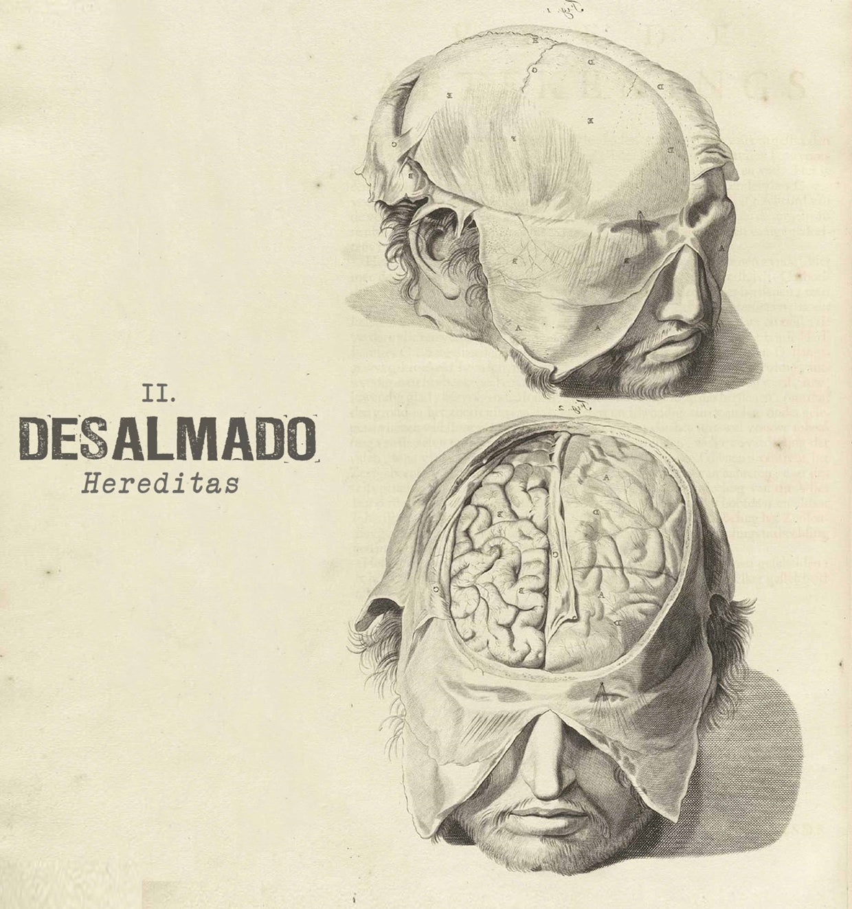 Desalmado - Hereditas - Grindcore - 10