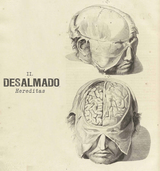 Desalmado - Hereditas - Grindcore - 10