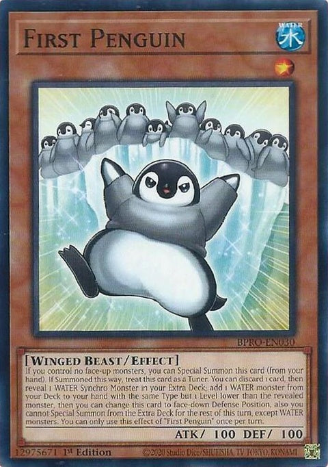 bpro-en030-firstpenguin