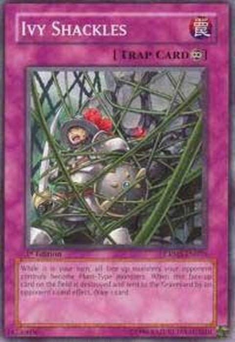 crms-en070-ivyshackles