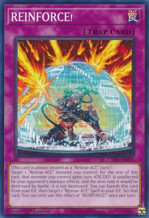cyac-en075-reinforce