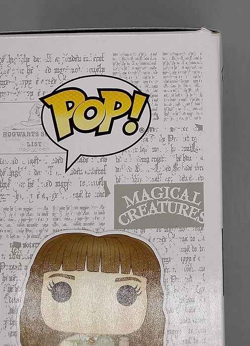 80 Hermione Granger (w/ Potions) - Harry Potter - Funko POP - Box Damaged