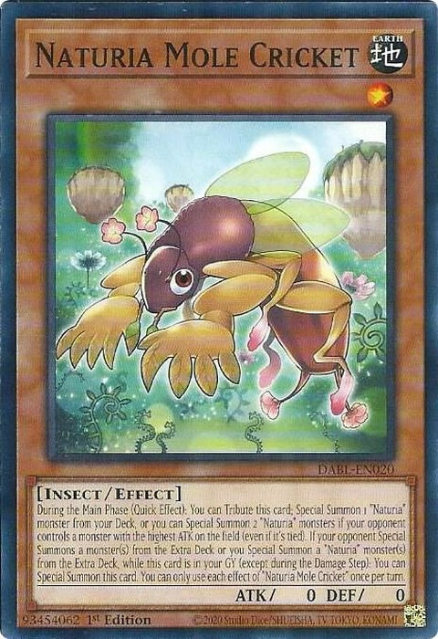 dabl-en020-naturiamolecricket