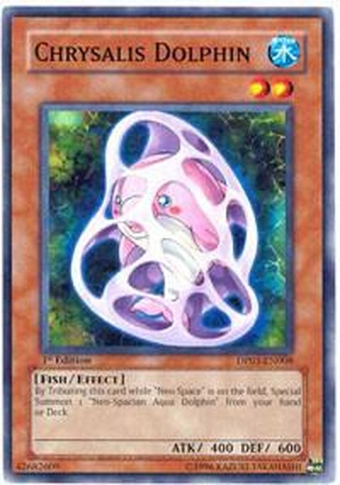 dp03-en008-chrysalisdolphin