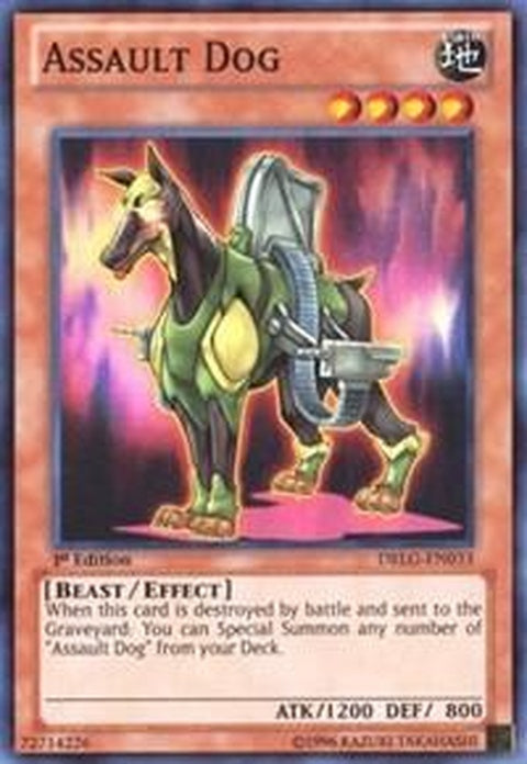 drlg-en033-assaultdog