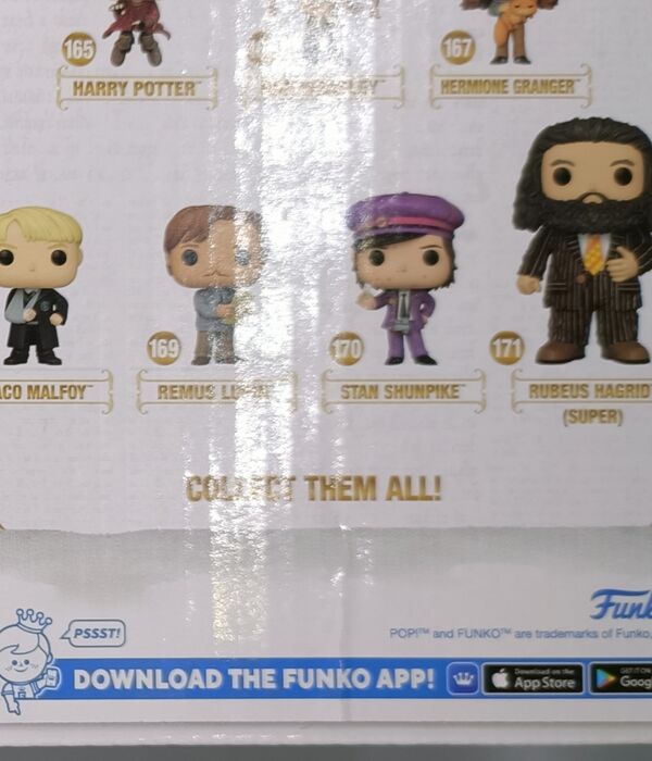171 Hagrid Animal Pelt Outfit - 6 Inch - Harry Potter - Box Damaged Funko POP