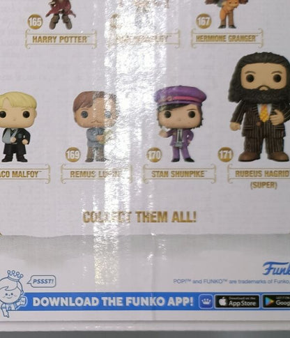 171 Hagrid Animal Pelt Outfit - 6 Inch - Harry Potter - Box Damaged Funko POP