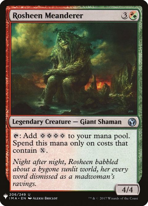 ima-206-rosheenmeanderer