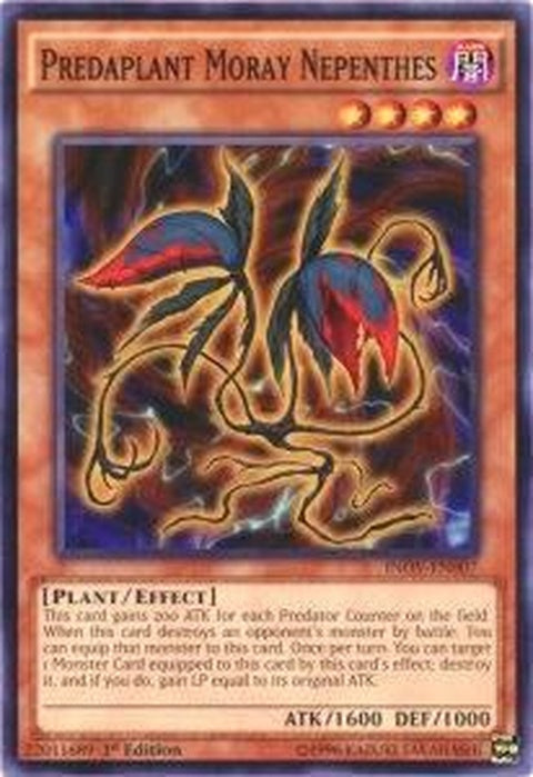 inov-en007-predaplantmoraynepenthes