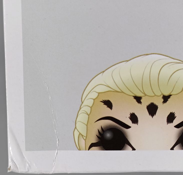 328 The Cheetah - DC Wonder Woman 1984 - Box Damaged Funko POP