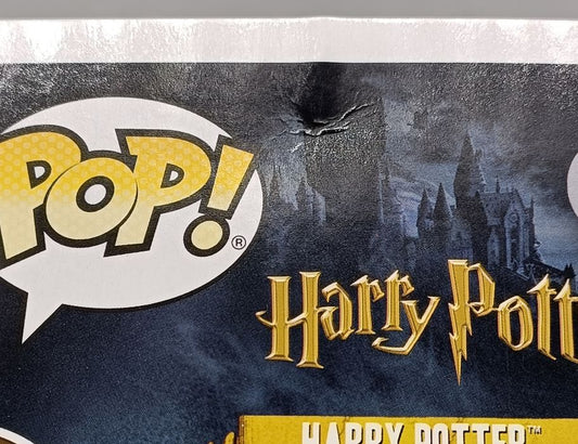 32 Harry Potter (w/ Prophecy) - Harry Potter - Box Damaged Funko POP