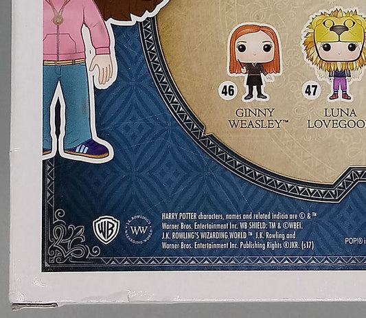 43 Hermione Granger (w/ Time Turner) - Harry Potter Box Damaged Funko POP