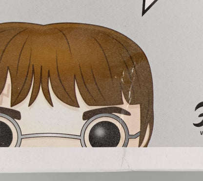 32 Harry Potter (w/ Prophecy) - Harry Potter - Box Damaged Funko POP