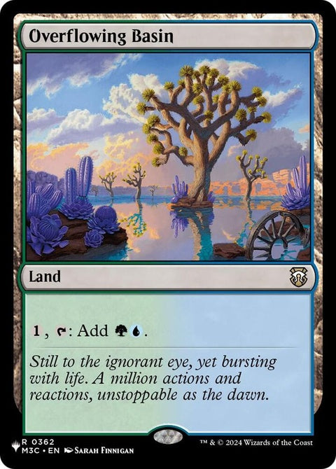 m3c-362-overflowingbasin