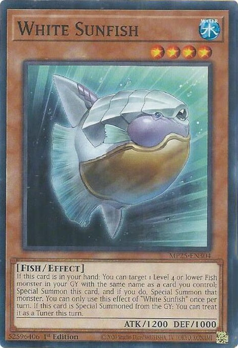 mp25-en304-whitesunfish