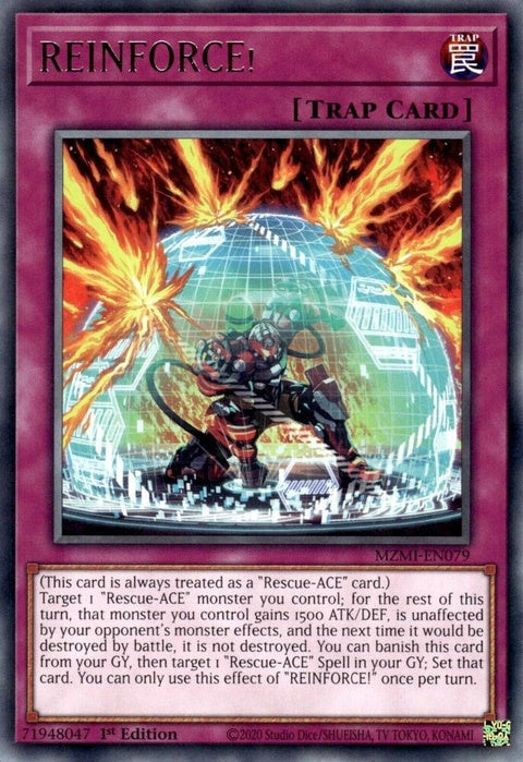mzmi-en079-reinforce