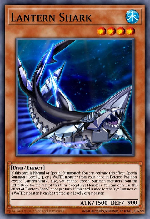 op26-en006-lanternshark