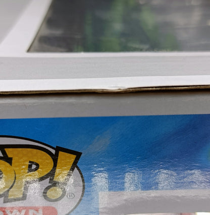 02 SpongeBob with Gary & Pineapple House - Town - Spongebob Squarepants - Box Damaged Funko POP