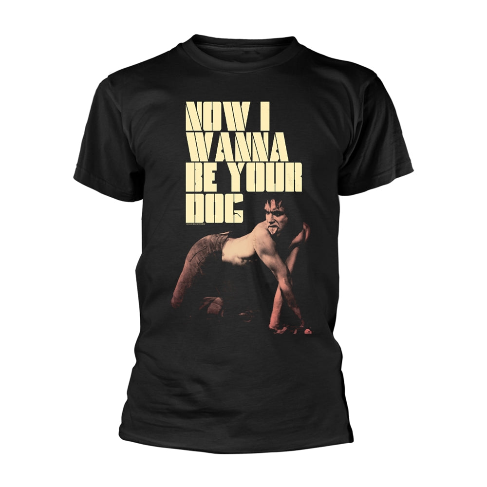 Iggy And The Stooges - Niwbyd - Punk - TS