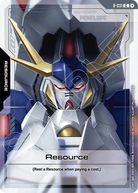 r-031-resourcer031