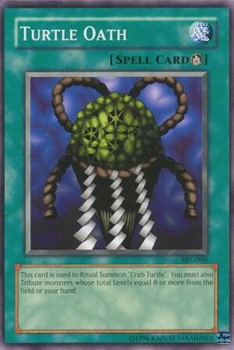 srl-066-turtleoath