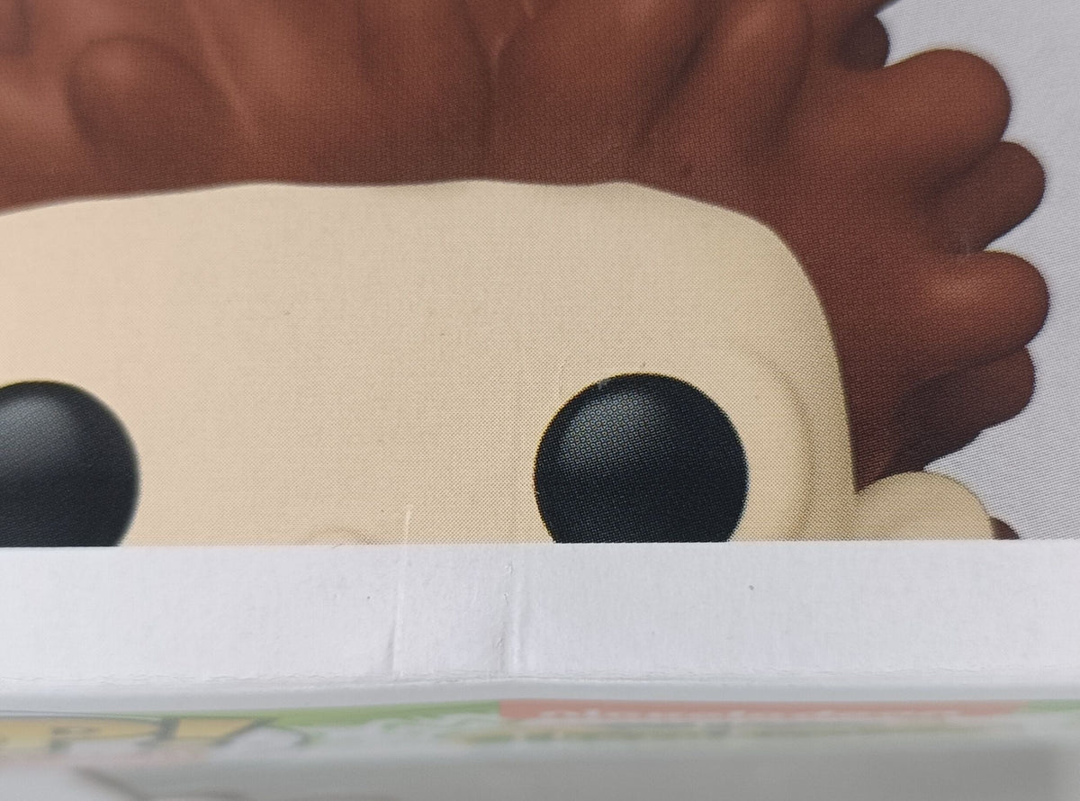 1527 Donnie Thornberry - The Wild Thornberrys - Funko POP - Box Damaged
