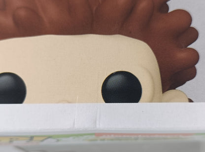 1527 Donnie Thornberry - The Wild Thornberrys - Funko POP - Box Damaged