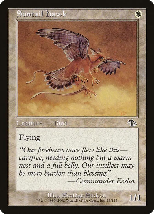 28 - Suntail Hawk - Judgment - Normal - Magic: The Gathering Card