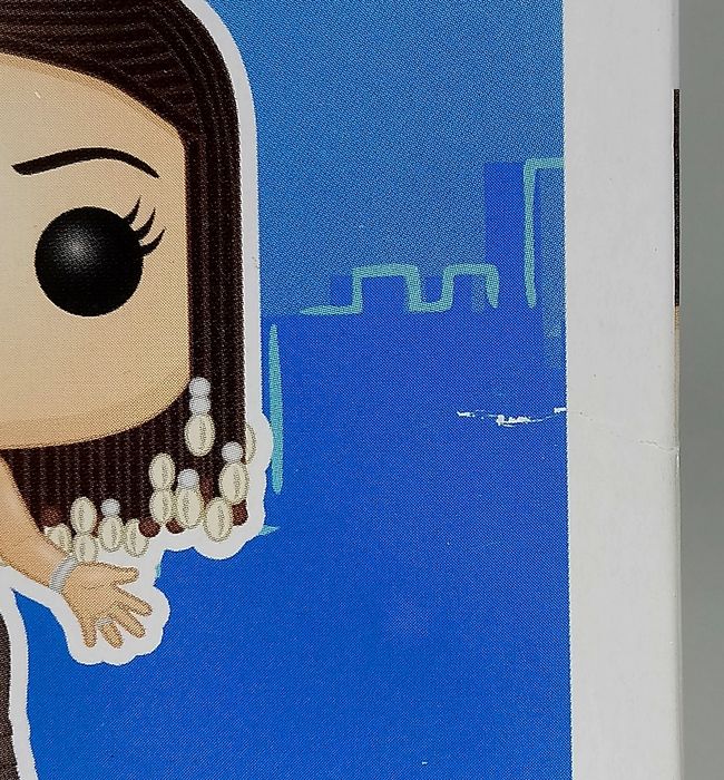 704 Monica Geller (Frizzy Hair) Chase - Friends - Box Damaged Funko POP